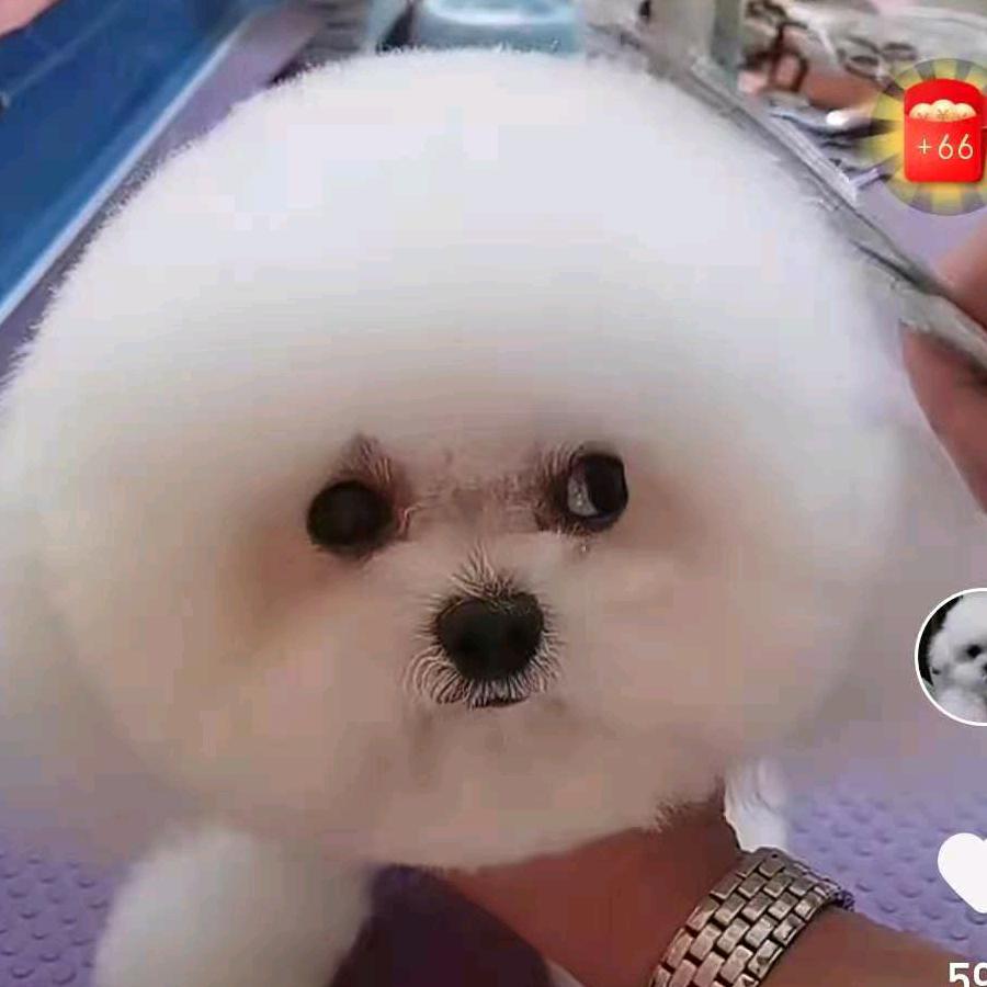 豆子发芽
