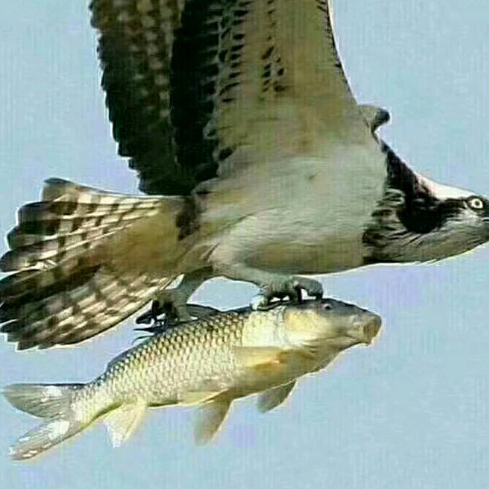 ✧*｡٩(ˊ记❤️忆ˋ*)و✧*｡