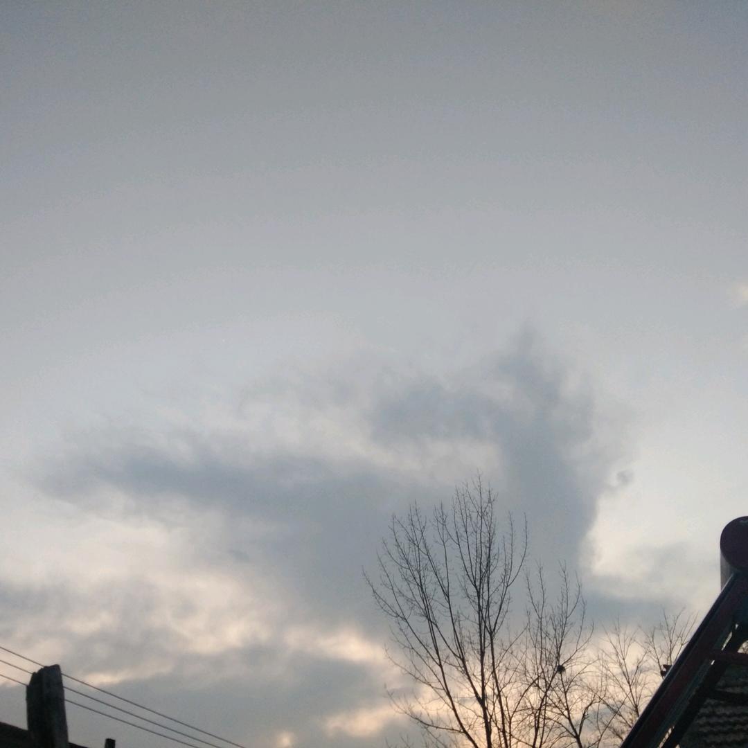 ༺岁月静好༻꧂