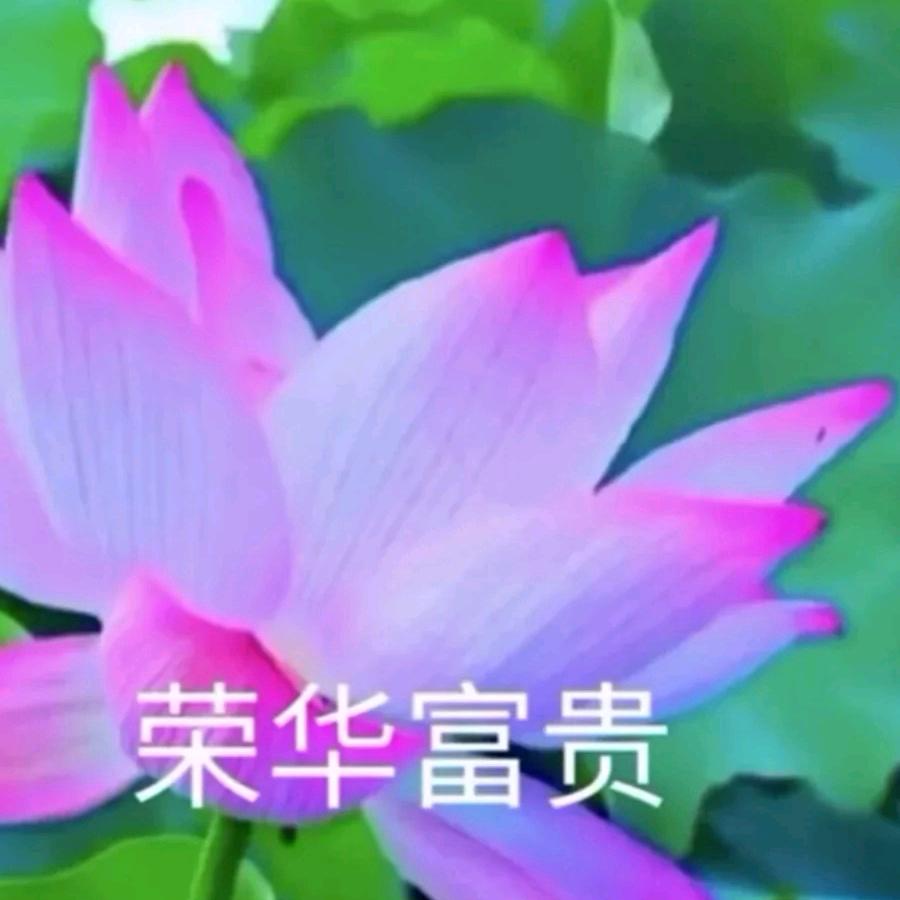 浮生ॱଳ͘