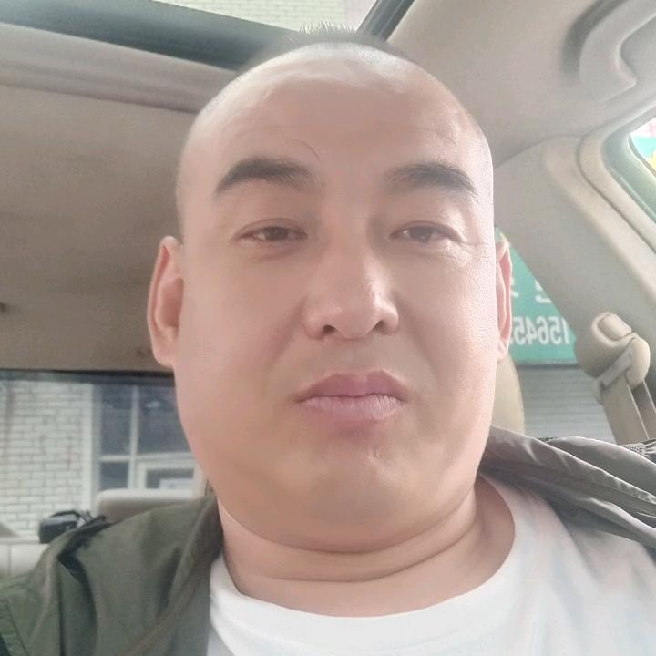 齐市林甸往返