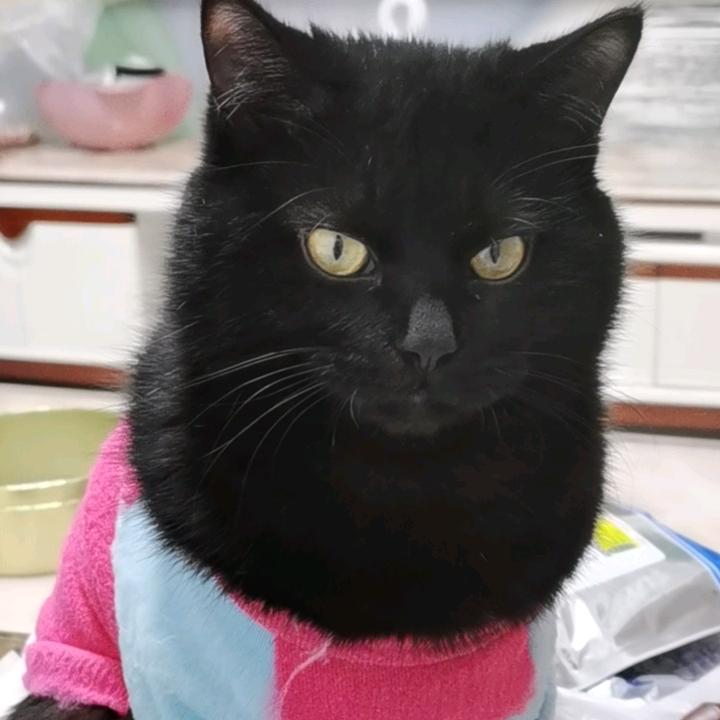 兰姐🌸🌸