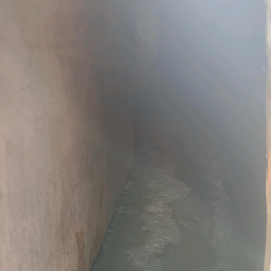 生命不止……永不停歇