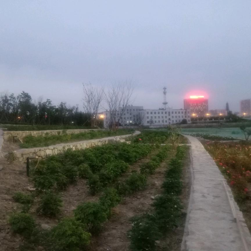 天为我而亮我为他人健康