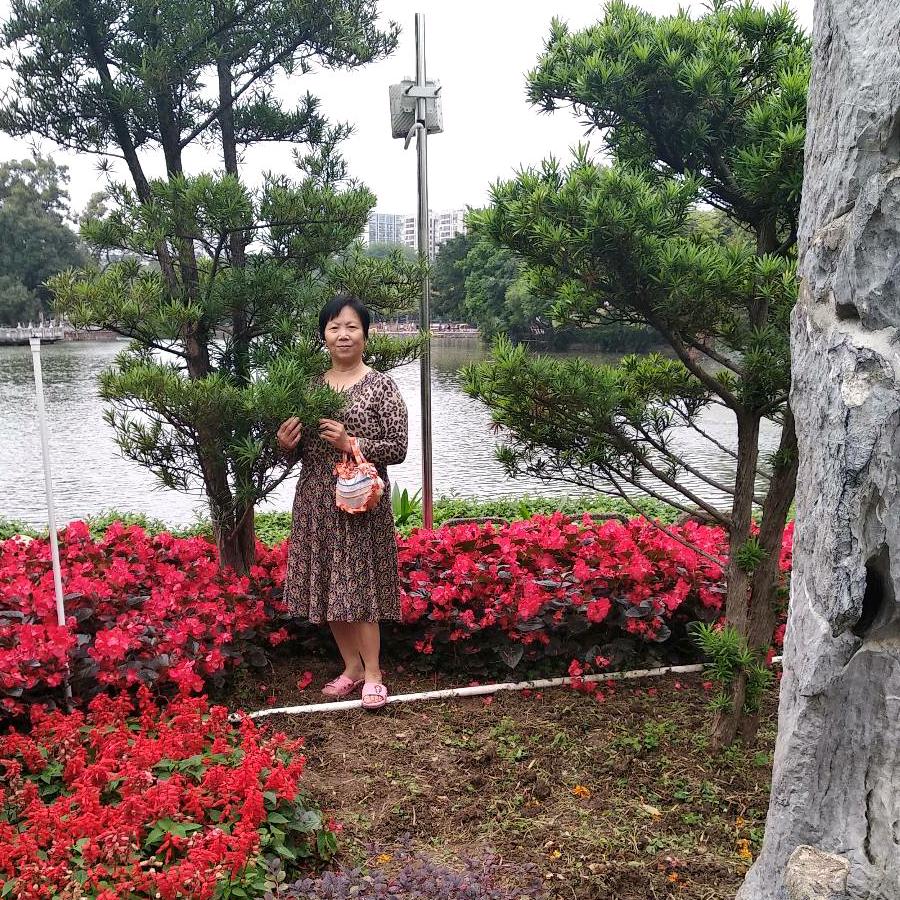 随心自在