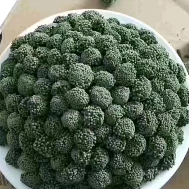 文山三七花