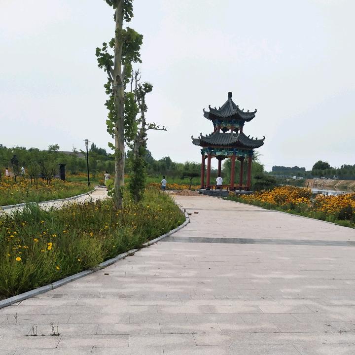 龙河岸边