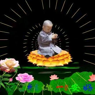 光伏安装