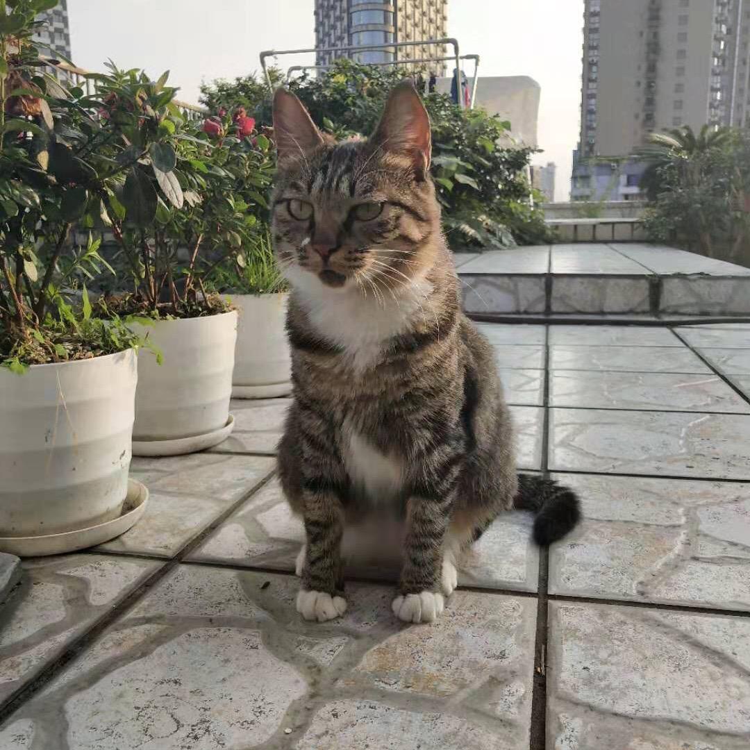 天地悠悠