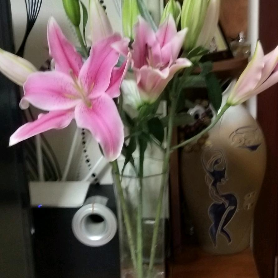 用户花好月圆！！！！
