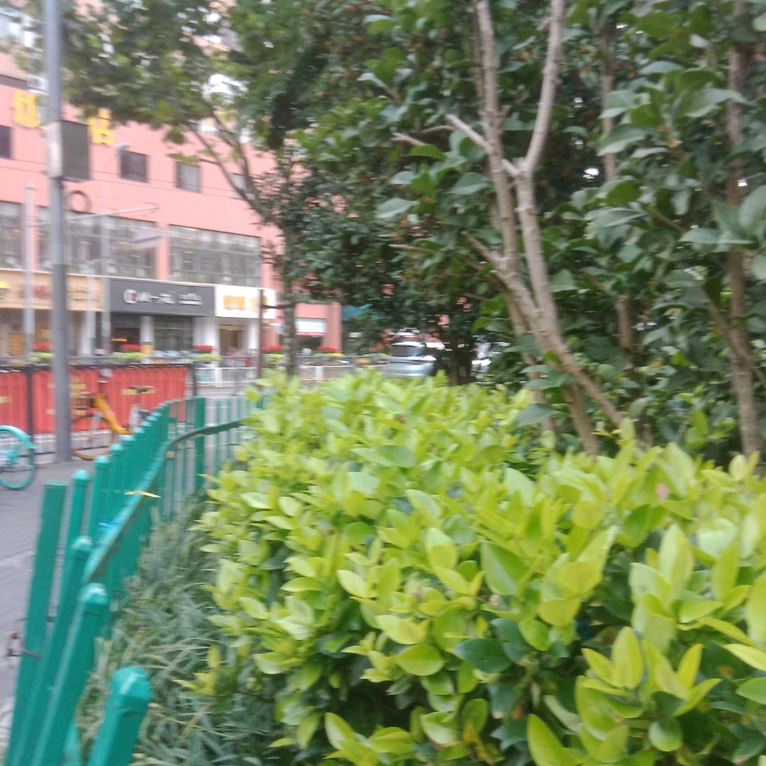 用户9125612069639强哥