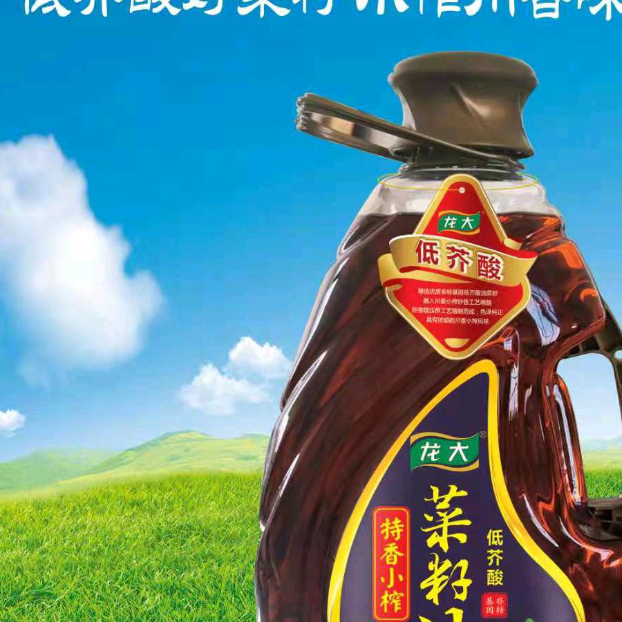朵儿
