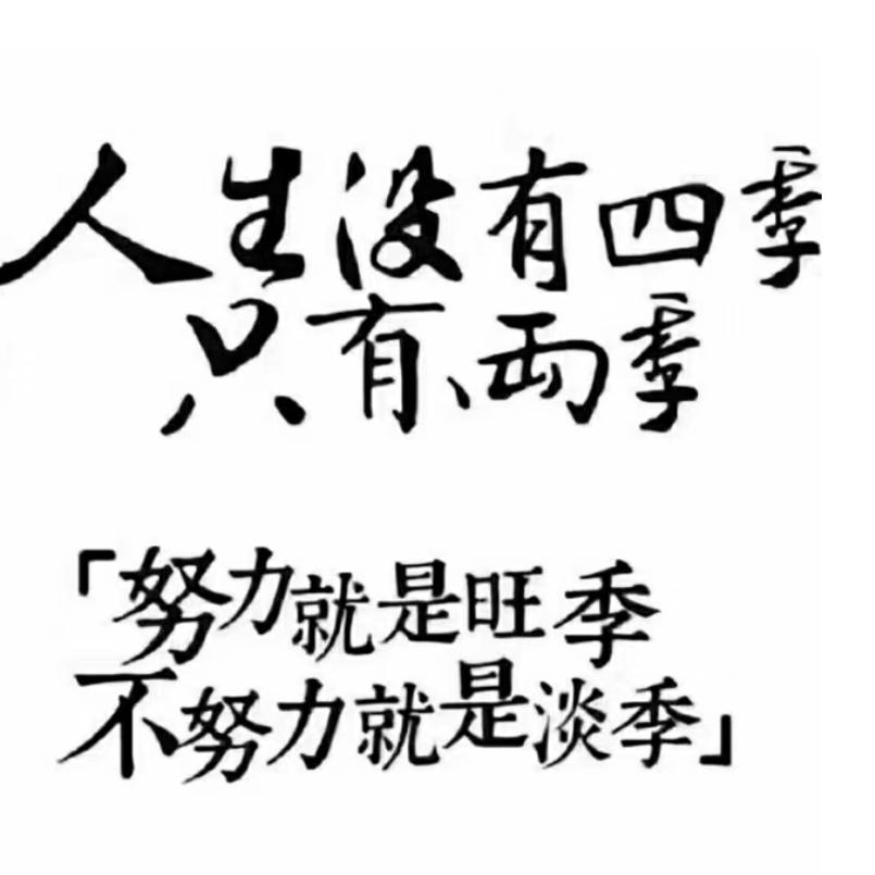 日进斗金