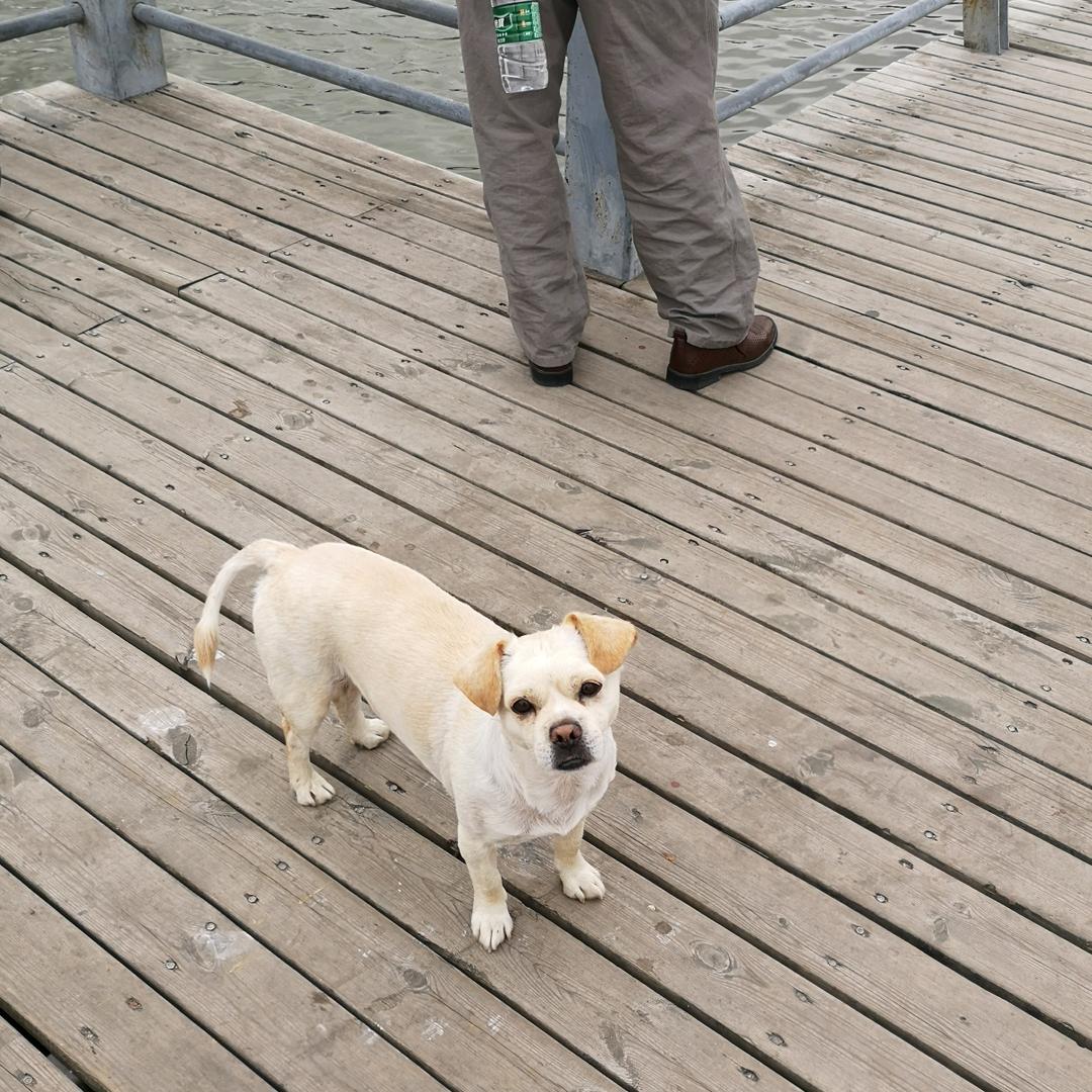 退休快乐每一天