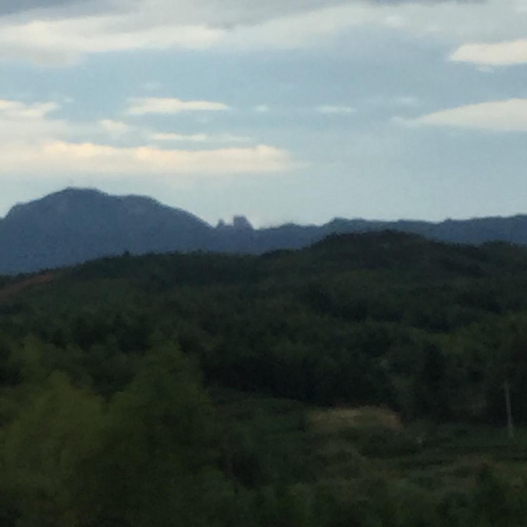 深山绿茶888
