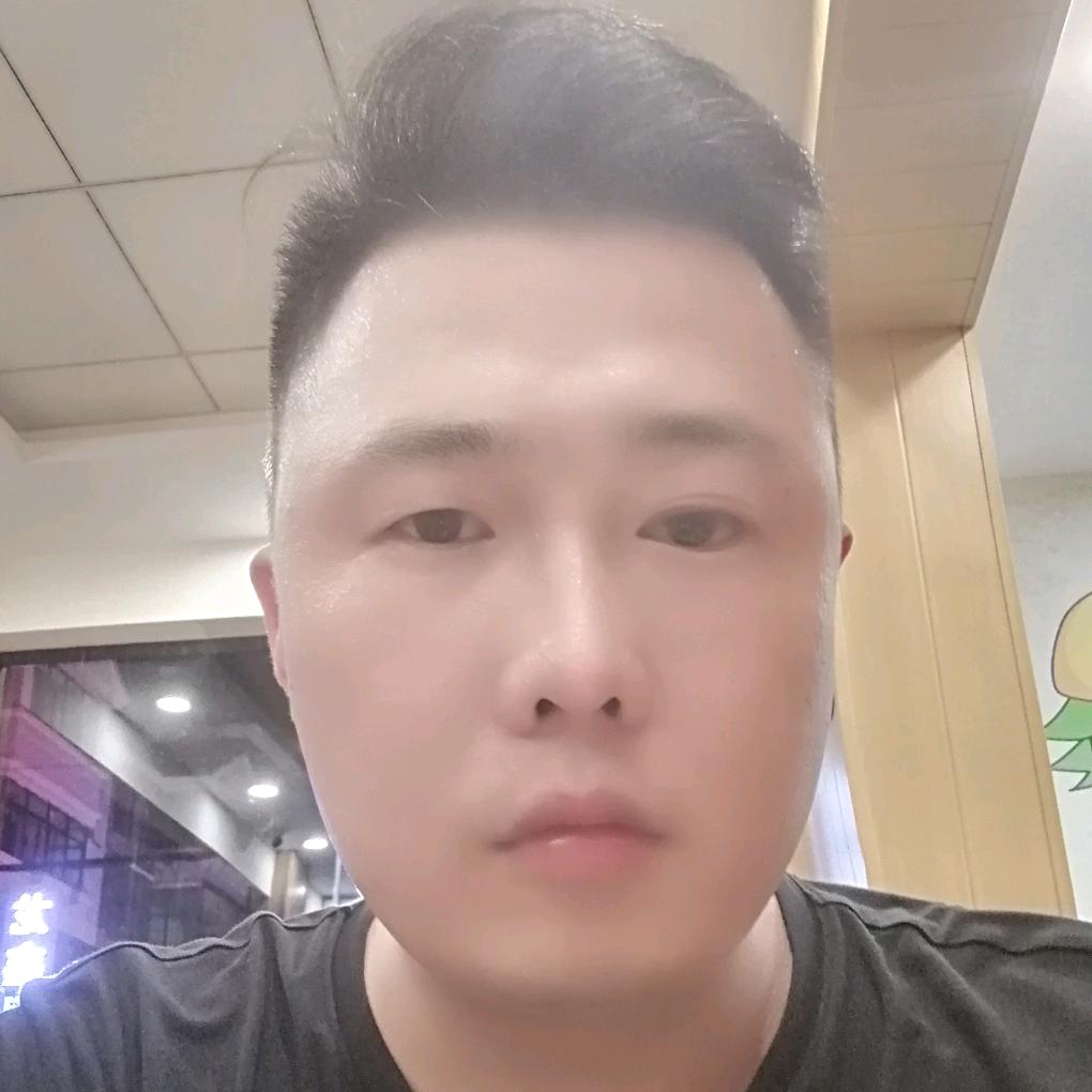 飞向天空的鱼