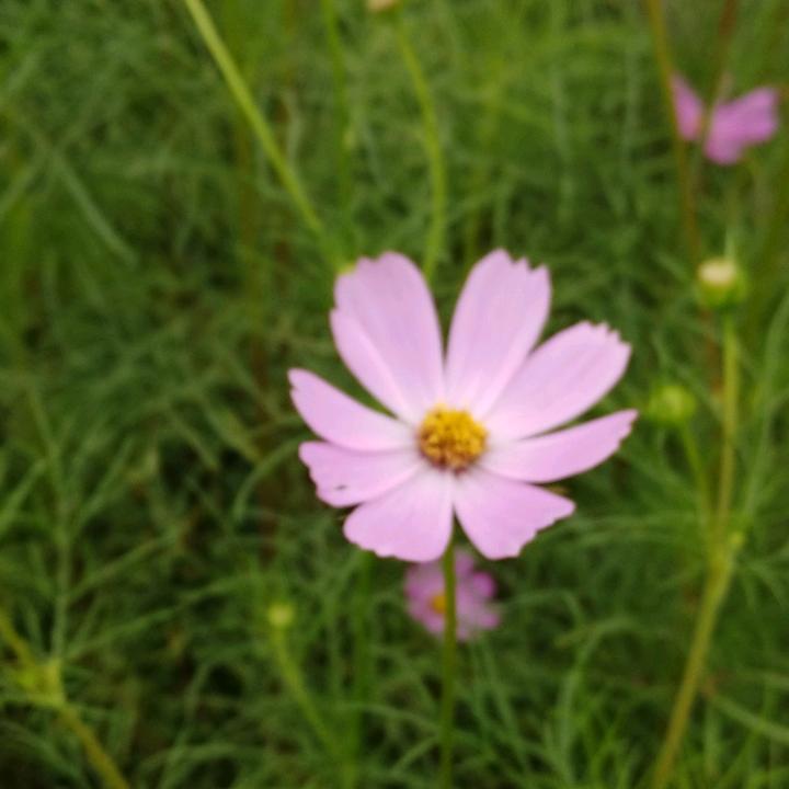 ✌(̿▀̿ ̿Ĺ̯̿̿▀̿ ̿)✌忘羡