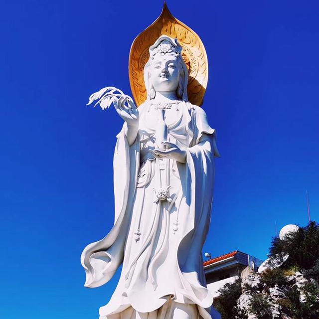 阳阳水果