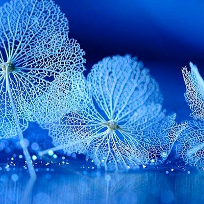 盛(手机摄影)