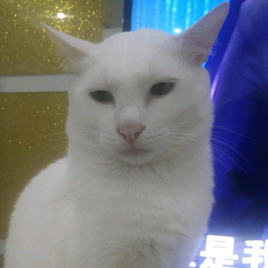 达华纸品