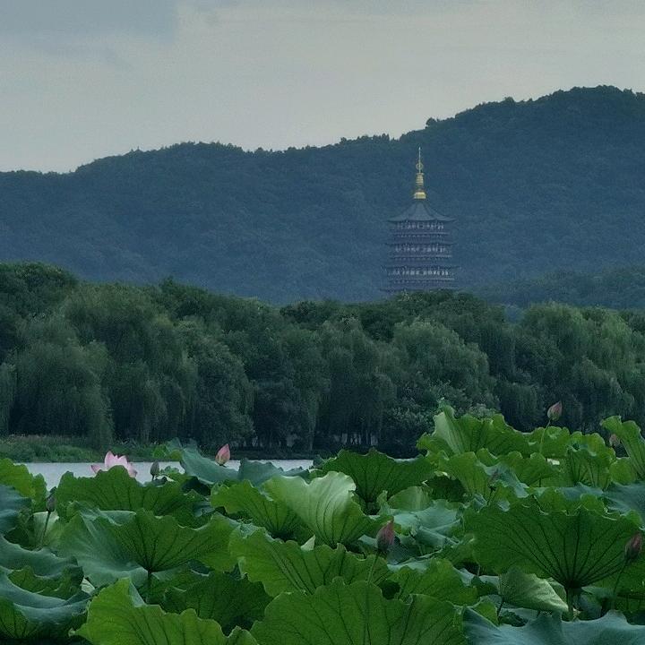 乂_乂