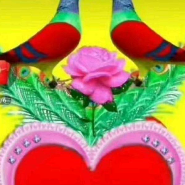 🌹为了幸福🌹