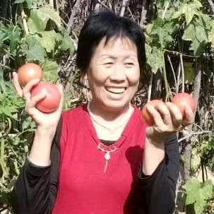 莲花2019