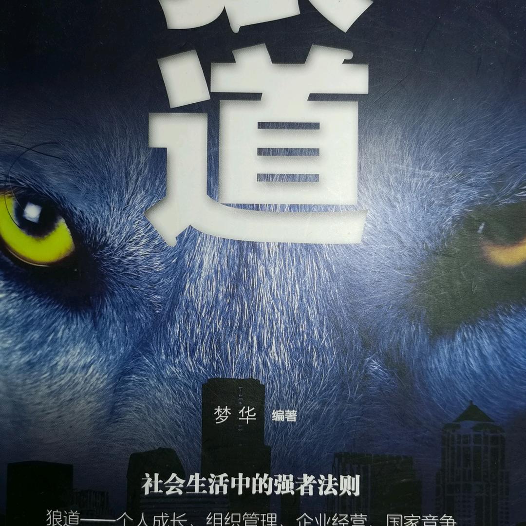 头狼（大叔）