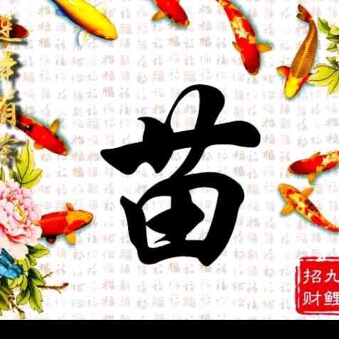 miao