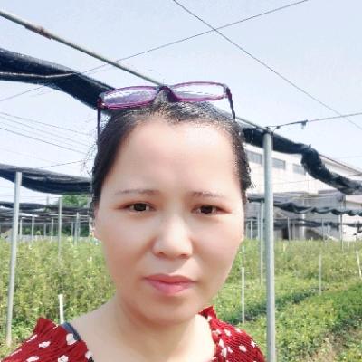 莲儿