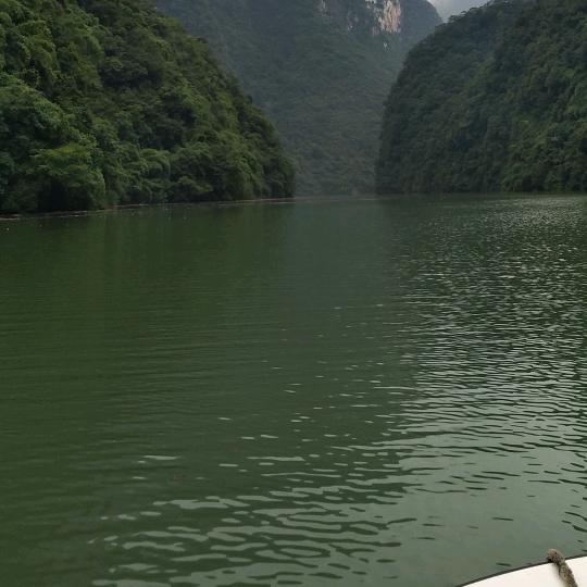 林哥@