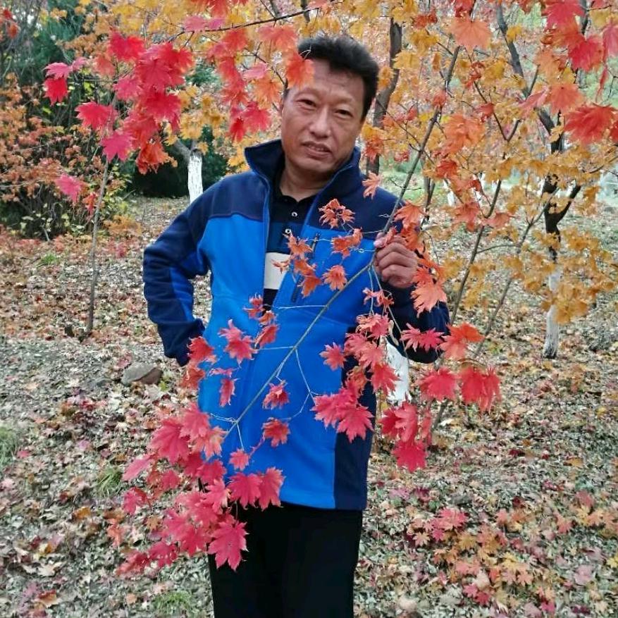 福杨