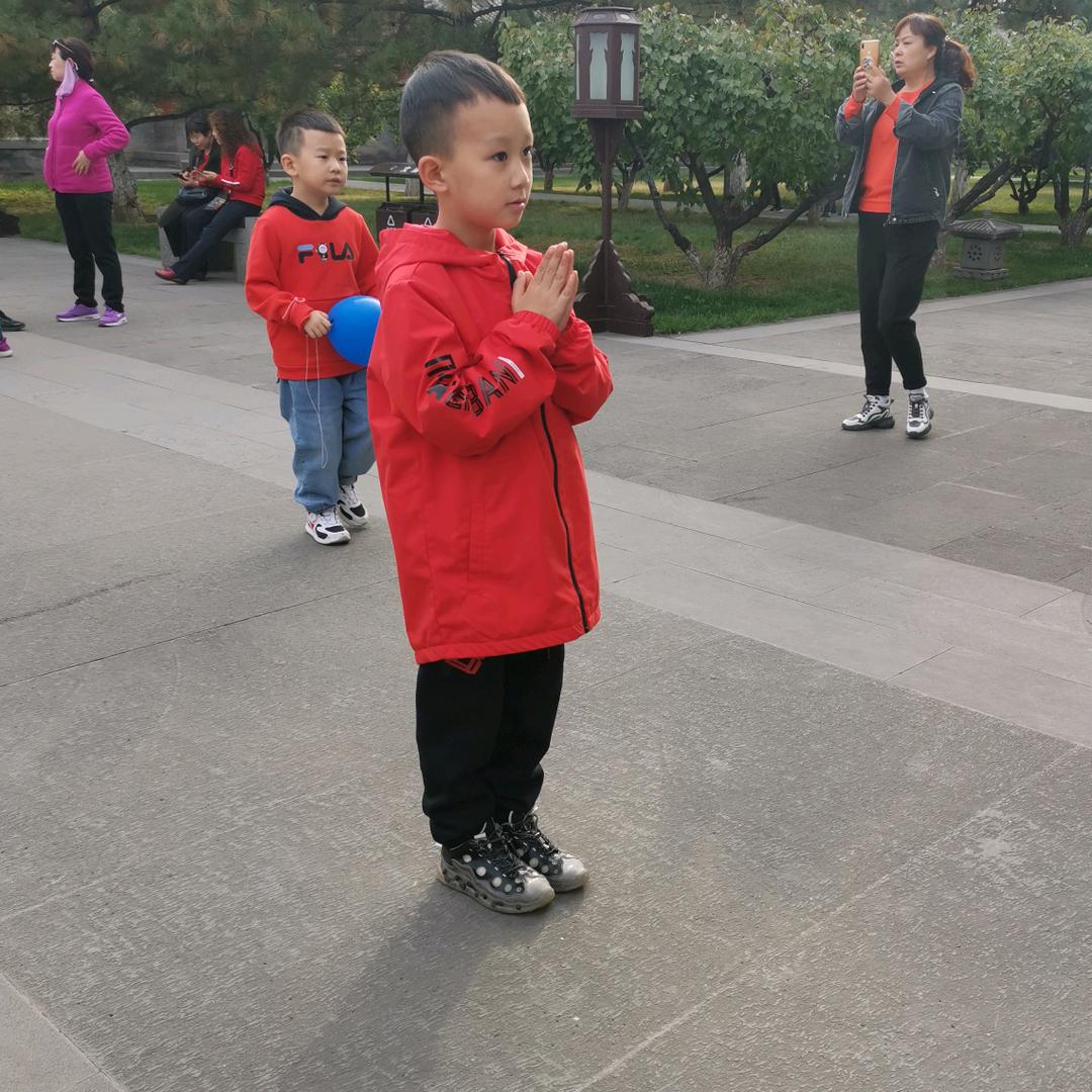 小马