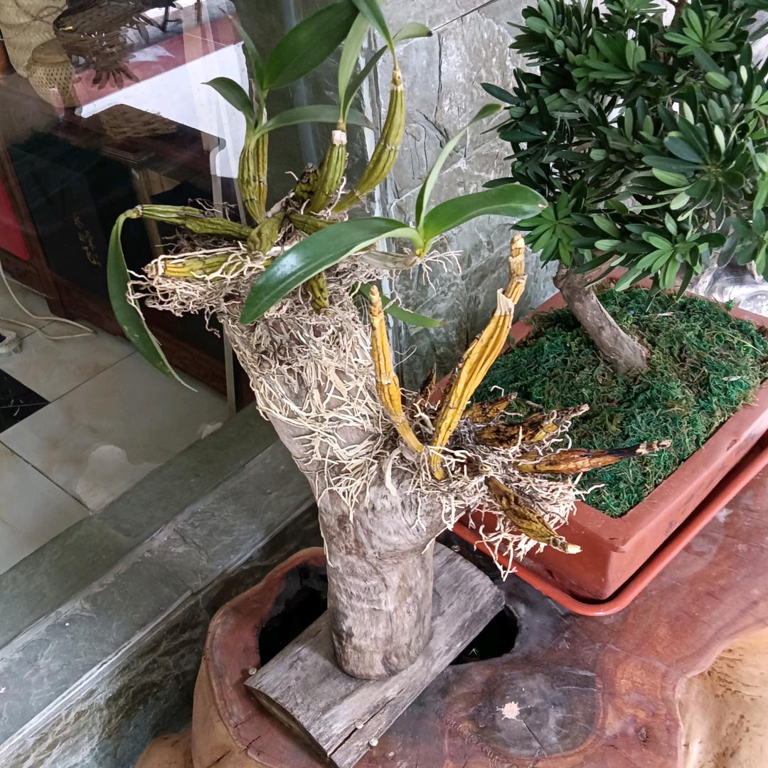 用户蒋哥