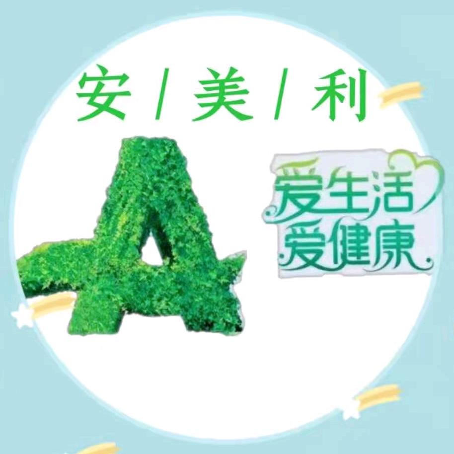 安美利