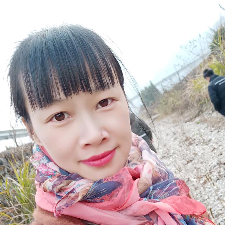 新新