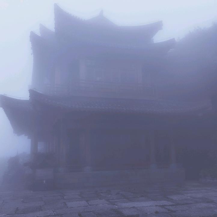 菱歌头像