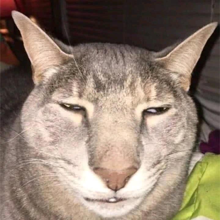 阳光宅男