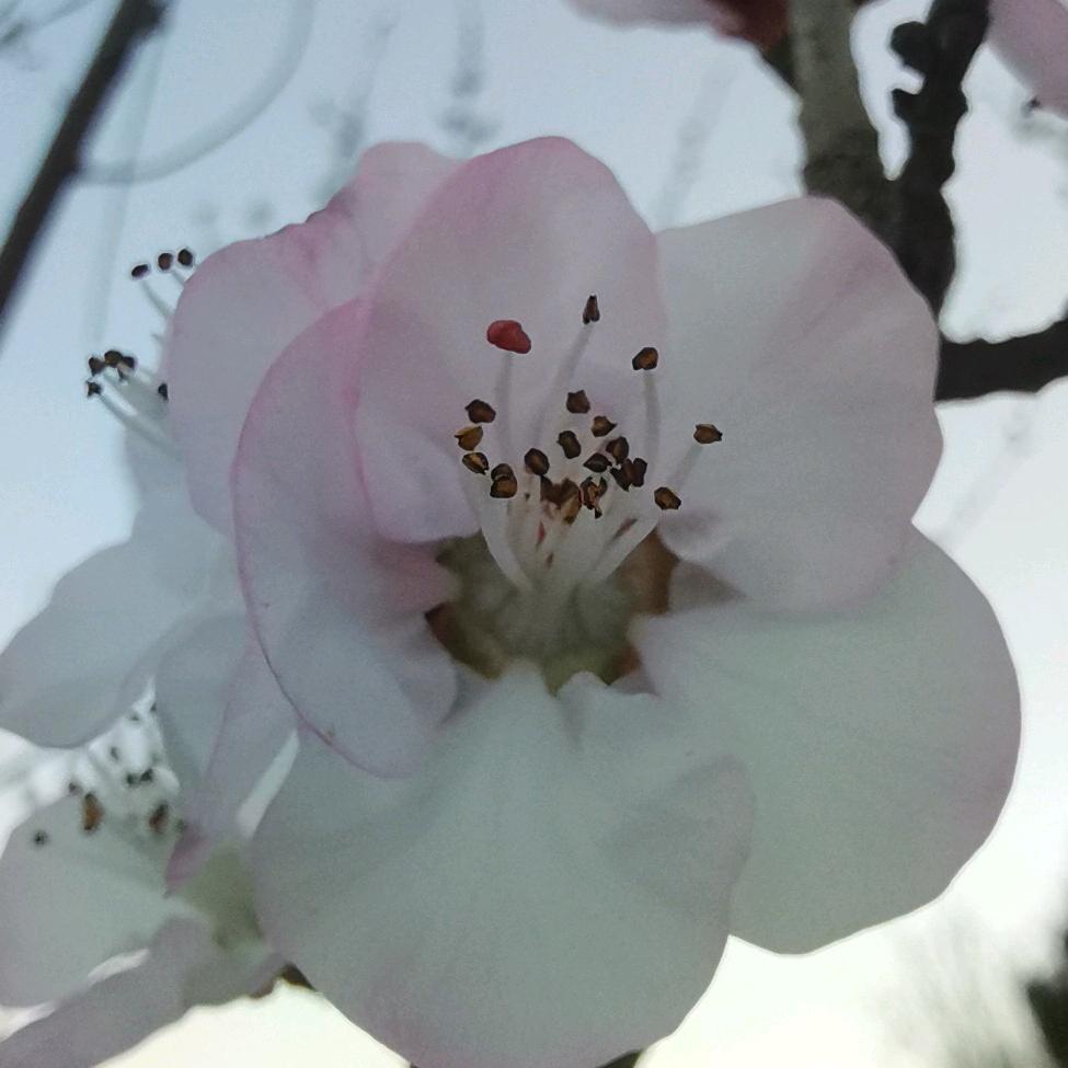 雨后彩虹
