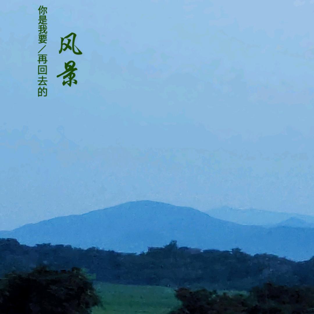 飞鸟游鱼｡◕‿◕｡