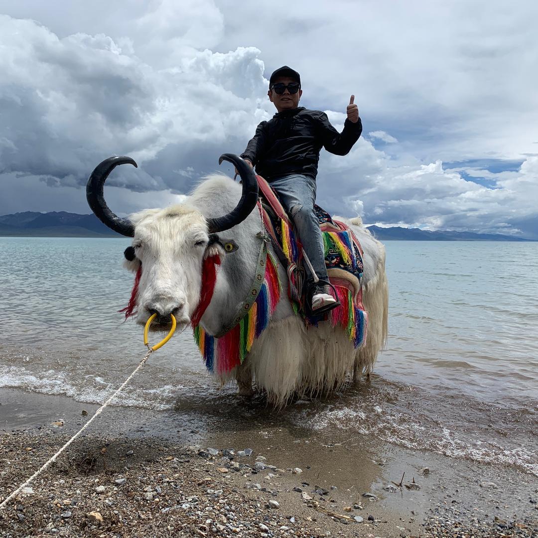 阳光正好