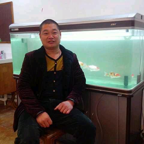忆往情申