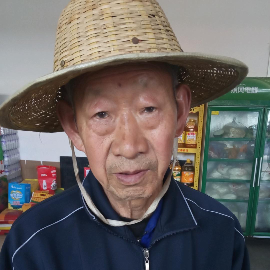 小蜜蜂