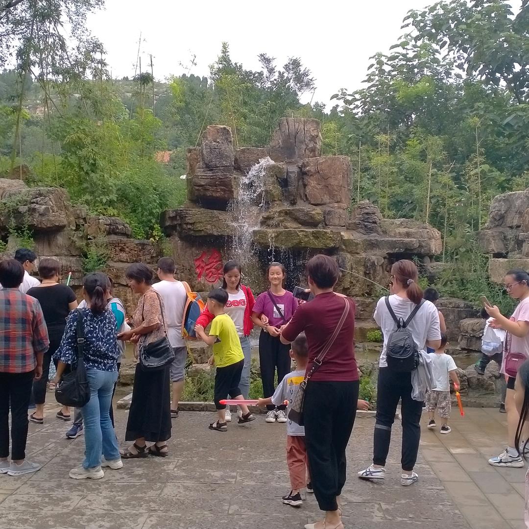 小白杨