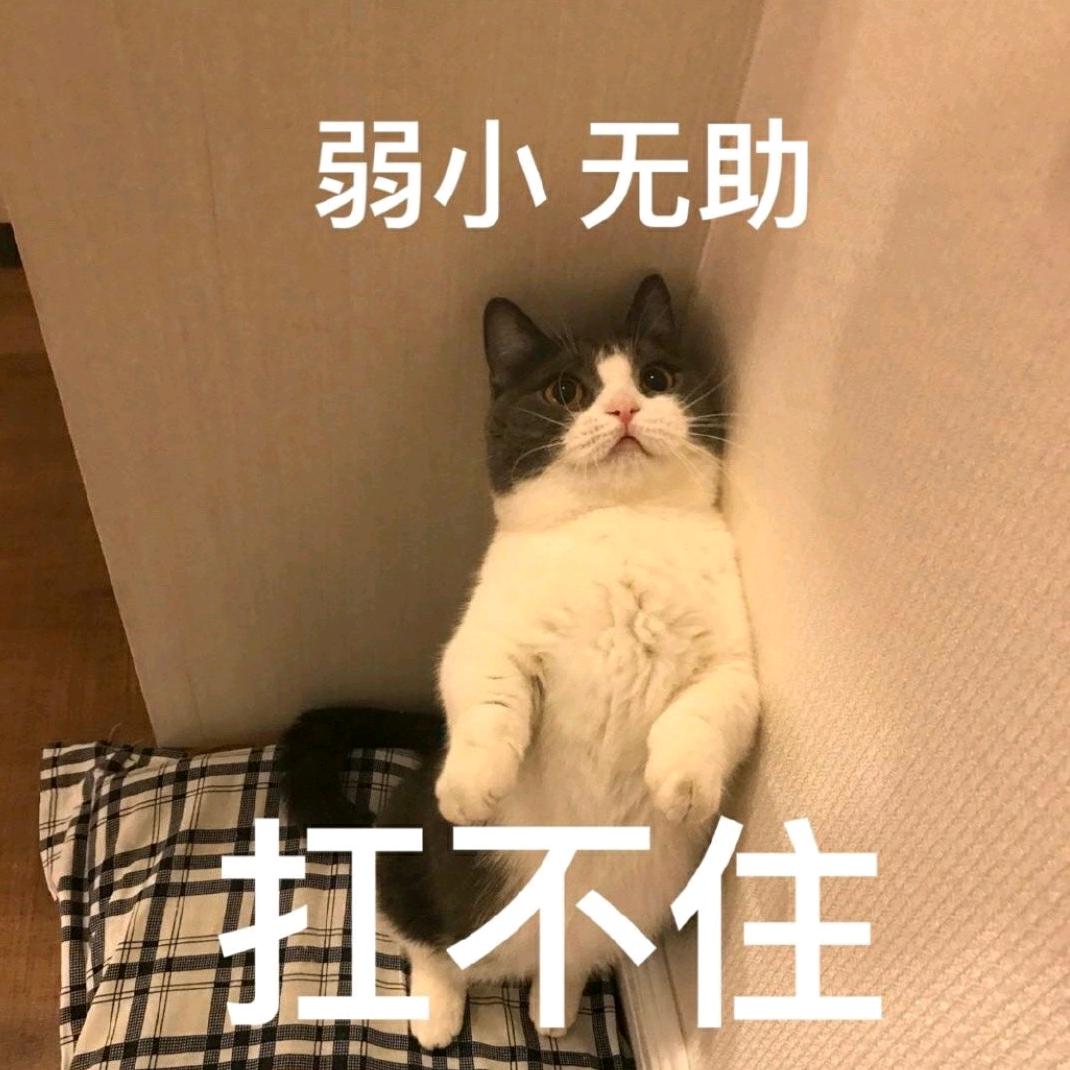 蓝缘