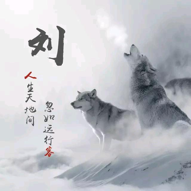 崆峒古镇“广东肠粉，车轮饼，老北京爆肚”