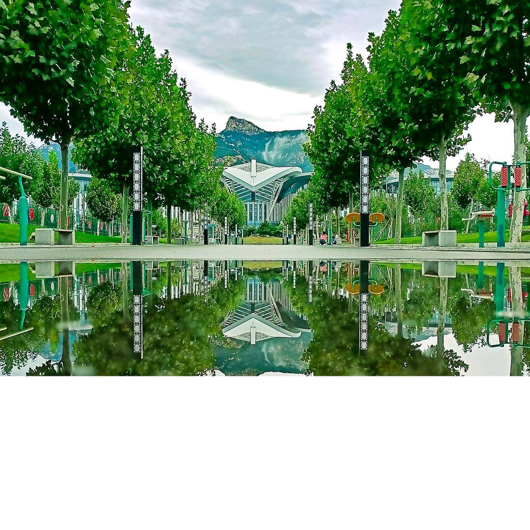 鲜花z