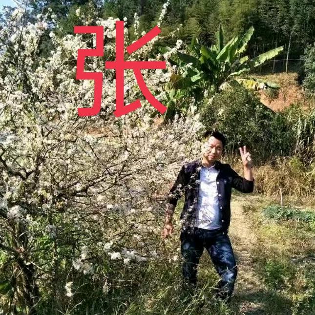 花迹
