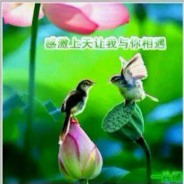 不语却知心