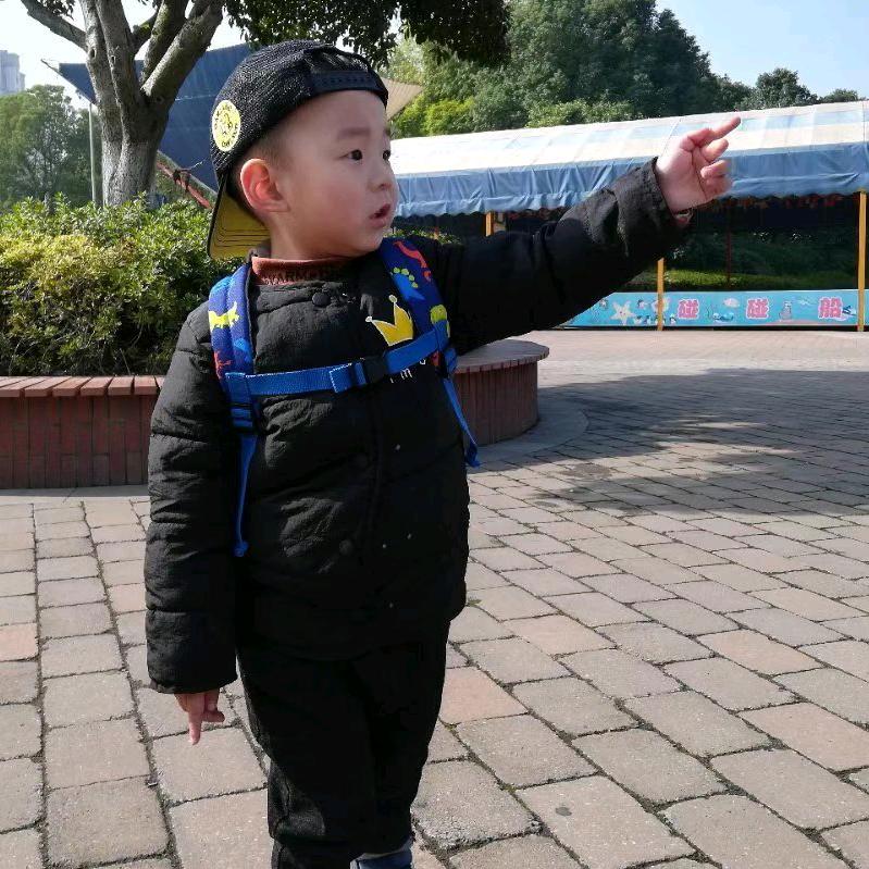小熊8818